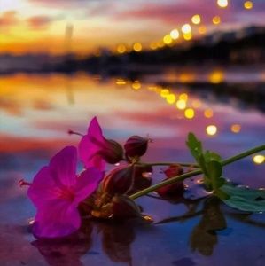 Meet your Posher, Eliza